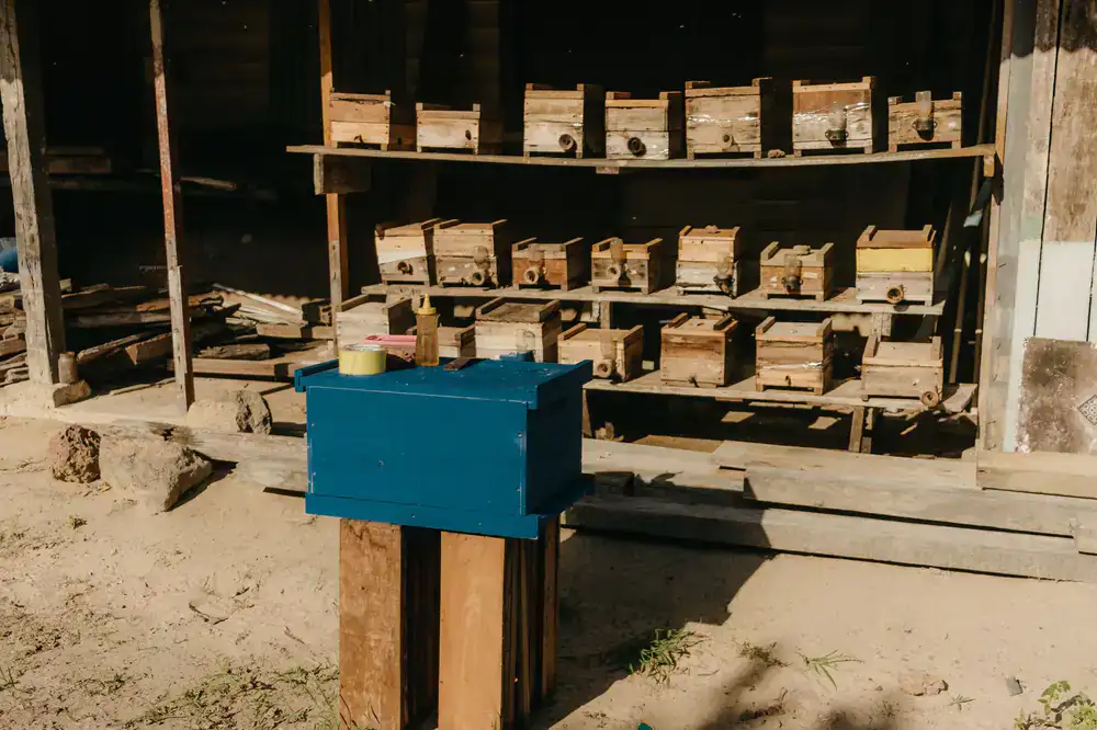 Stacks of warm honey-colored timber in the workshop